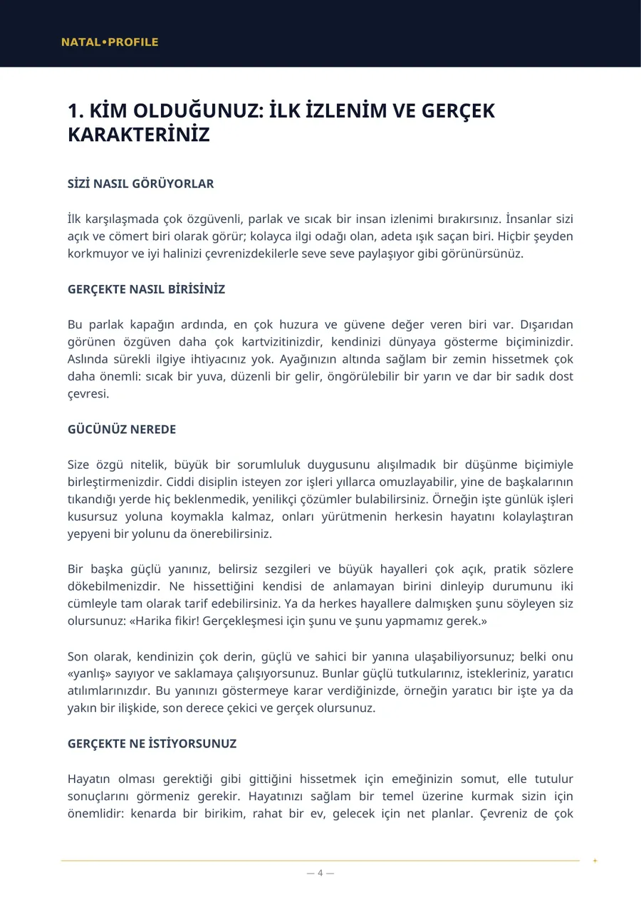 İlk bölümün bulunduğu rapor sayfası